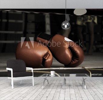 Picture of Boxing Glove Vintage